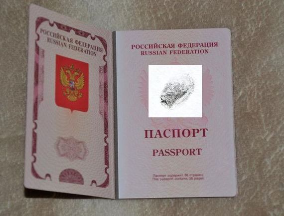 прописка в Татарске